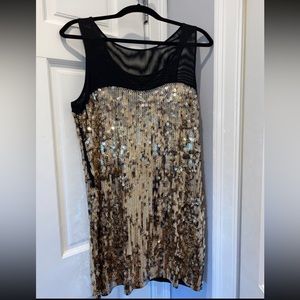 EXPRESS Sequin Dress